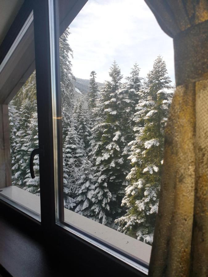 Borovets Forest View Exterior foto